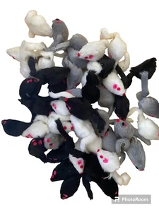 Faux Fur Catnip Mice 36 Pack Cat Toy Furry Mouse Tail Hardcore Critters bulk - Picture 1 of 1
