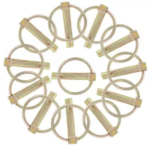 Spilla linciaggio resistente 12 pz con anello, pin linciaggio 5/16"" x 1-5/8"" per rimorchio... - Foto 1 di 8