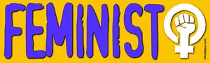FEMINIST - UV-beschichteter Laptop/Fenster/Stoßstange Aufkleber - Bild 1 von 1
