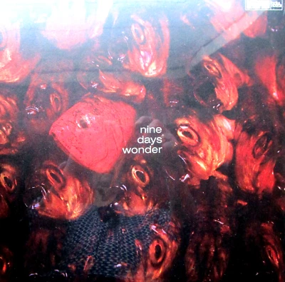 NINE DAYS WONDER nine days wonder Coloured Vinyl LP NEU /OVP/Sealed - Bild 1 von 2