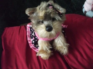 FAO Schwartz 9" plush Yorkie in pretty dress - Picture 1 of 6