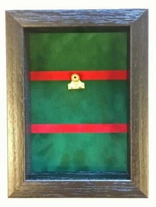 Durham Light Infantry Medal Case. Black Frame - Picture 1 of 4