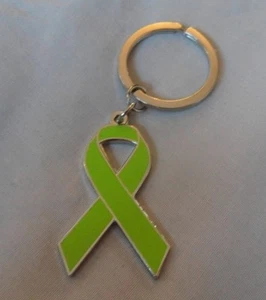 ***NEW***  Non-Hodgkins Lymphoma Green Awareness enamel keyring. Charity, badge - Picture 1 of 1