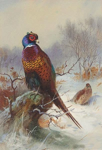 Beautiful Oil painting nice birds in winter snow landscape f - Picture 1 of 1