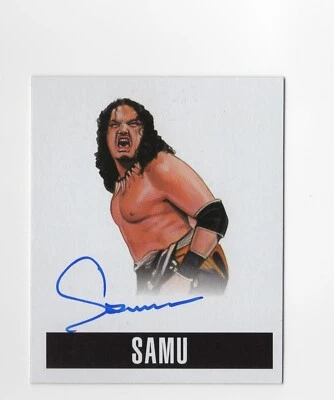 Tarjeta autógrafa de lucha libre Tommy Dreamer 2014 Leaf Originals automática ECW #TD1 EX/NM Foto 1 de 2