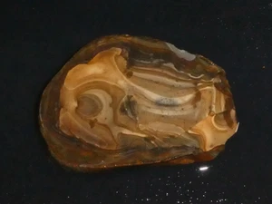Royal Sahara  Jasper slab - 2  1/4 " x 1 3/8"--rough for cabbing or display - Picture 1 of 3