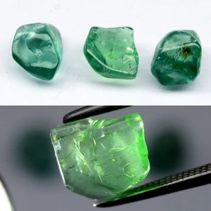 💎 Lotto 3 pezzi 5,25 ct lucidato grezzo naturale verde apatite - non riscaldato, gemme Africa - Foto 1 di 6