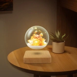 Magnetic Levitation Flower Light Floating Flowers with LED Light For Home Decro - Picture 1 of 21