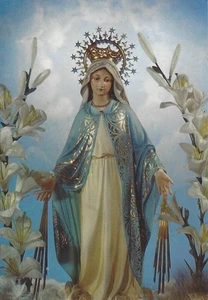 1 Postcard Our Lady of Grace N.S. de la Gracia Catholic Print Image Virgin Mary - Picture 1 of 2