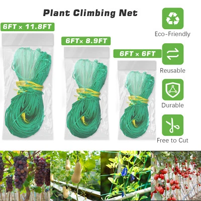 Plant Growth Climbing Net Plant Support Frame Support Fruits and Vegetables USA - Image 1 of 4