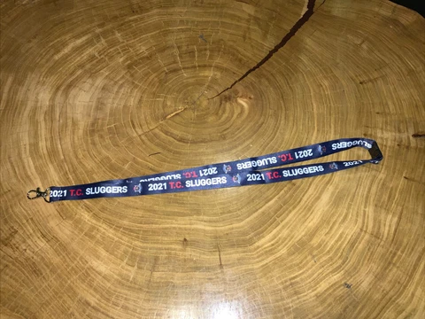 MINNESOTA TWINS BASEBALL MASCOT TC BEAR LANYARD SGA MLB Cover