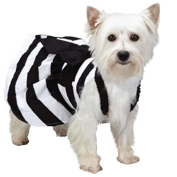 Vestido M. Isaac Mizrahi Guinga Rayas Perro Negro Blanco Diseñador Vestidos Perros Mascota  Foto 1 de 1