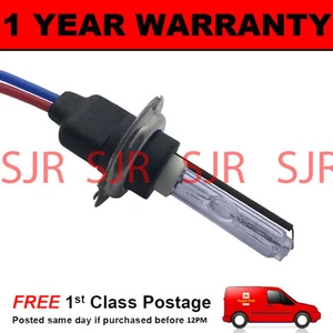 1X BULBS FOR AFTER MARKET HID CONVERSION KIT XENON 4300K PURE WHITE 35W WIRE IN - Picture 1 of 1