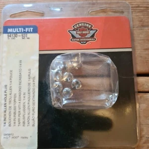 HARLEY-DAVIDSON Parte 1/4" ALLEN HOLE PLUG OEM NUOVO ORIGINALE P/N 94130-93T NUOVO - Foto 1 di 1