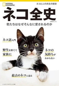 Libro japonés The Complete History of Cats: Why Do You Guys Love Me So Much - Imagen 1 de 6