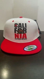 CAPPELLO BERRETTO BASEBALL CALIFORNIA REPUBLIC CALI BEAR FLAT BILL SNAPBACK NUOVO CON ETICHETTE ORSO GRANDE - Foto 1 di 5
