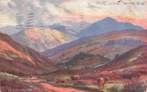 Postal Glenmalure Irlanda - Imagen 1 de 2