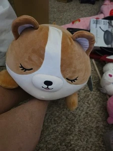 Squishmallows 18" Large Plush Regina Brown and White Corgi Sleepamallows - Picture 1 of 4