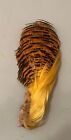 Golden Pheasant Cape Feather for Fly Tying