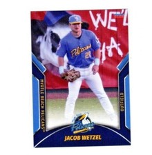 Jacob Wetzel 2022 Myrtle Beach Pelicans baseball team card Cubs prospect