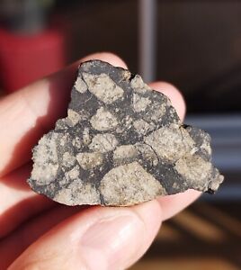 Meteorite achondrite eucrite NWA 12929 26.8 g