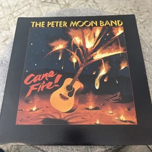 PETER MOON BAND Cane Fire Panini PS 1012 RE1 orig 1982 Hawaii NM - Bild 1 von 7