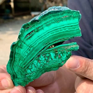 84G Malachite naturale trasparente grappolo campione minerale grezzo - Foto 1 di 20