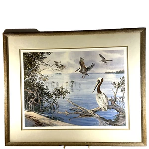Phil CAPEN Limited Edition Lithographie Druck 670 von 950 Florida Pelikan signiert - Bild 1 von 11