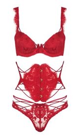 AGENT PROVOCATEUR Soiree Red Eviee Bra 36C/D $$$ Silk Lining