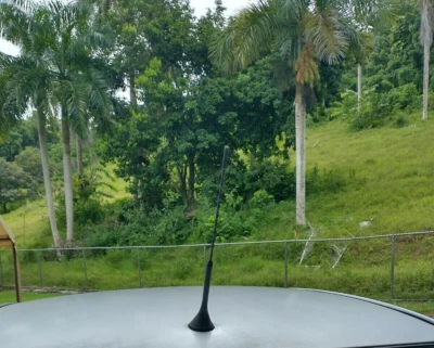 Mástil de antena de 13 pulgadas negro radio AM/FM para VOLKSWAGEN PASSAT 1990-2005 Foto 1 de 4