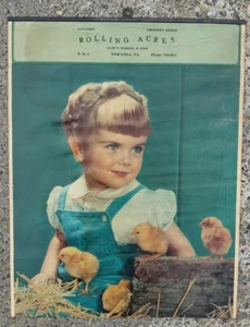 Insegna Poster Pubblicitario Vintage Anni 50 Towanda PA Rolling Acres Farm Hatchery - Foto 1 di 6
