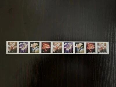 SCARCE PNC 9 Scott #3462-65 NONDENOMINATED Flowers Plate# B1111, MNH - Image 1 of 2