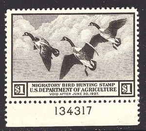 RW3 XF MNH OG PLATE# SINGLE-1936 DUCK STAMP! (REM #RW3-532) - Bild 1 von 1