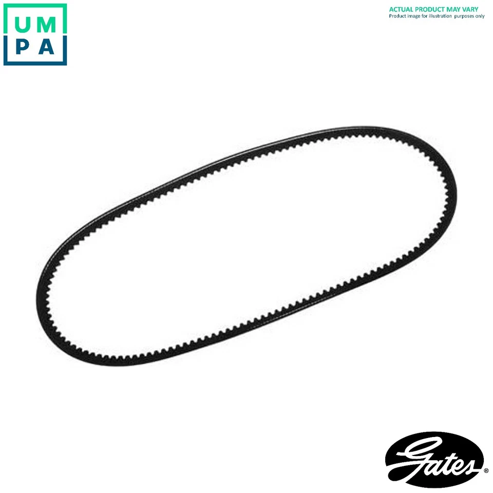 VBELT AVX13X850HD FOR ISUZU ELF/Platform/Chassis/Van N-SERIES 4JG2 3.1L 4cyl - Image 1 of 4