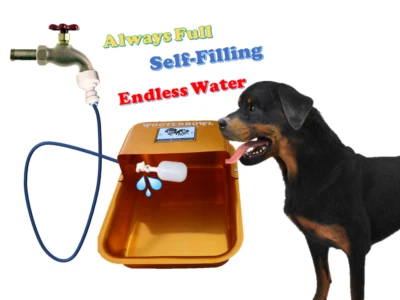 ATHENA & BRANDO COMPANY Self-Filling Garden Hose Faucet Automatic Dog Waterer Water Bowl Wooterbowl