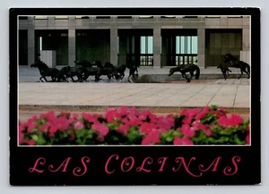 Postcard Bronze Mustangs Horses Sculpture Of Las Colinas Irving Texas - Bild 1 von 2