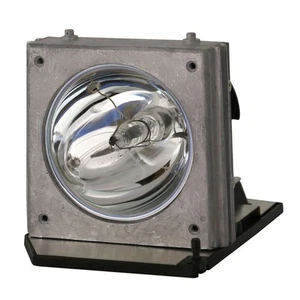 Lámpara y carcasa serie AL™ para proyector Medion MD30053 - 90 días de garantía - Imagen 1 de 6