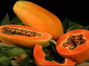 Taiwan Red Lady 786 F1 híbrido sebas de papaya 10 g (500 sebas) - Imagen 1 de 3