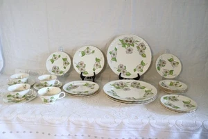 POPE GOSSER DOGWOOD 3191 Flowers USA 24 Pc Set 6 Pc Place Setting Service for 4 - Picture 1 of 10