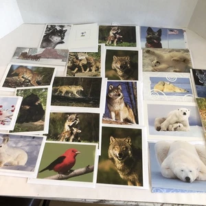 Lote de 32 tarjetas de felicitación en blanco con sobres naturaleza animal surtidos con engaños - Imagen 1 de 4