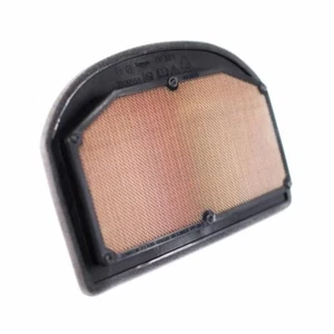 Filtro de aire OEM Triumph Tiger Explorer Modelos - T2209555 - Imagen 1 de 2