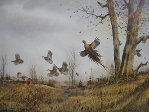 David Hagerbaumer Mixed Double Pheasant Quail LTD Print - Picture 1 of 1