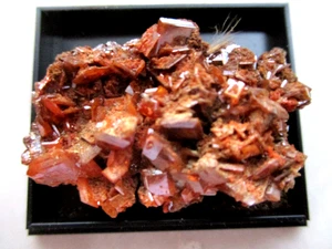 schöne Wulfenit xx, Mexiko, in Edelsteindose 40 x 32 x 23 mm - Bild 1 von 4