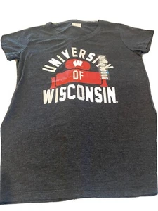 University of Wisconsin Badger gray womens v neck sz large SOFT NEW - Picture 1 of 6
