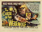 Oliver Reed - La malédiction du loup-garou (1961) - Carte de lobby 11 x 14 - Réimpression