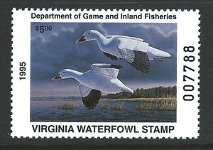 Bigjake: #VA8, $5.00 Snow Geese, 1995 Virginia Duck Stamp - Picture 1 of 1