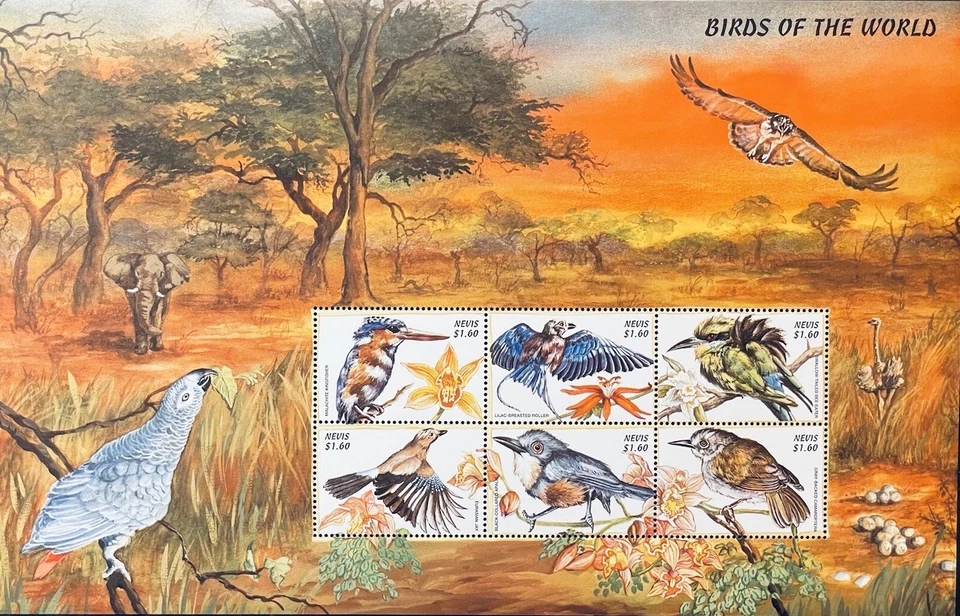 FOLHA DE SELOS DE PÁSSAROS DO MUNDO NEVIS MNH 2000 PÁSSARO KINGFISHER FAUNA SELVAGEM 1 - Imagem 1 de 1