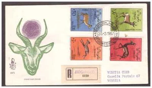 FDC Venetia Club Somalia Ind.1967 - Gazelle Viagg. Racc - Picture 1 of 1