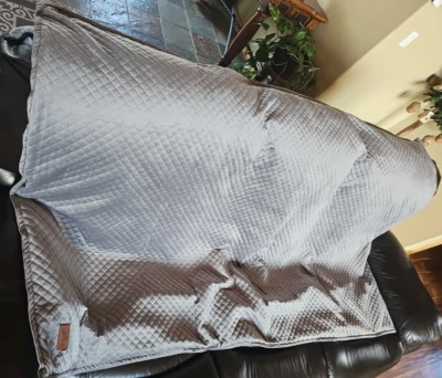 Pendleton Weighted Blanket Quilted Removable Zip Cover Two Pieces 48x72 15 lbs - Image 1 of 4