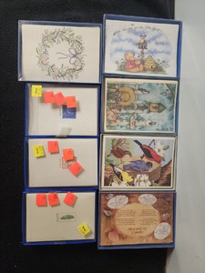 Box of 8 CAPE SHORE Blank Note Cards -Home Coming by Murrell Butler Birds Maine